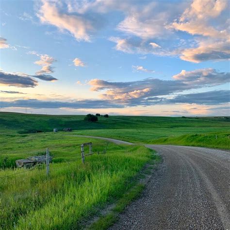 Country Road Scean 的图像结果