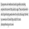 Q.19 Note o n glyoxysome with neat labelled diagram. - Brainly.in