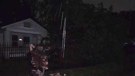 Family startled by sound of tree falling in front of their home and car ...