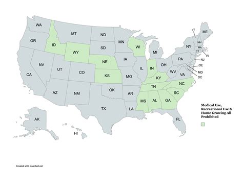 Is It Legal to Grow Marijuanas at Home in Your State 2025? – Hey abby
