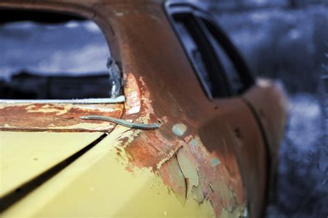 Automotive paint for protection of vehicle body | Anton Paar Wiki