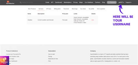 Image result for OpenWeatherMap API Example