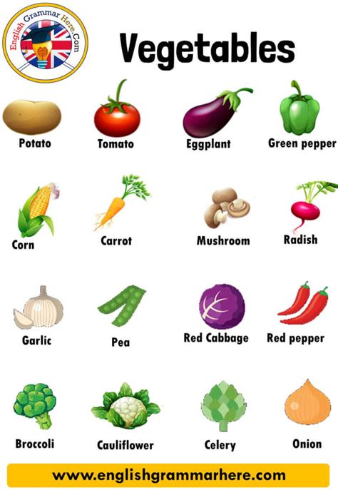 Image result for Vegetables Examples