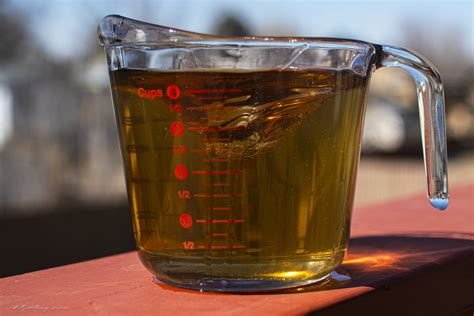 Image result for Fun Science Experiments