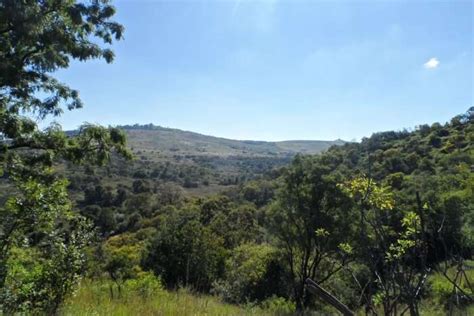 Top 7 National Parks In Pretoria For A Heartwarming Holiday