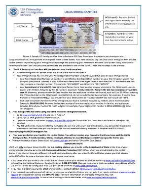 Dos Case Id - Fill and Sign Printable Template Online