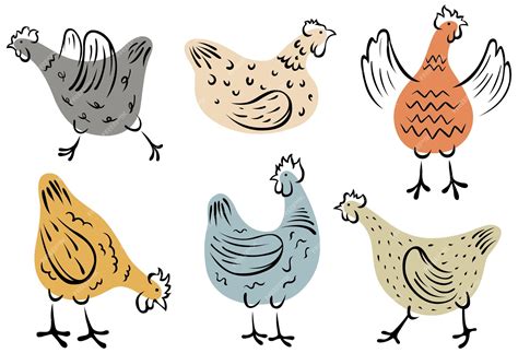 Premium Vector | Set of hand-drawn hen. Chicken illustration. Colorful isolated domestic birds.