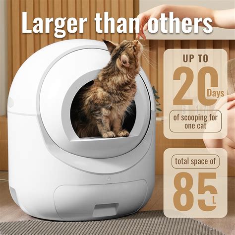 Self Cleaning Cat Litter Box Review