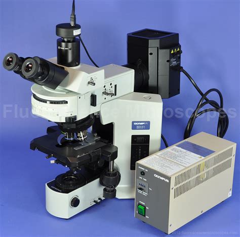 Fluorescence Microscope 的图像结果