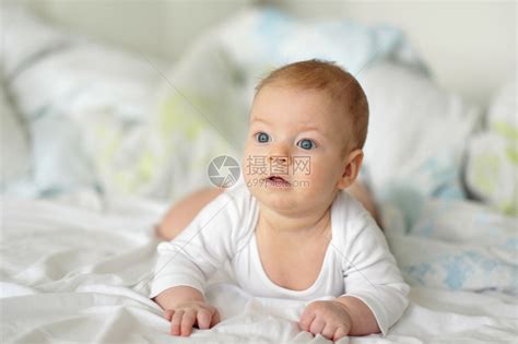 4个月大的婴儿男孩蓝高清图片下载-正版图片503462925-摄图网