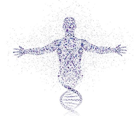 A Photo of Part Person 的图像结果