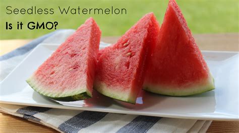 Is Seedless Watermelon GMO?
