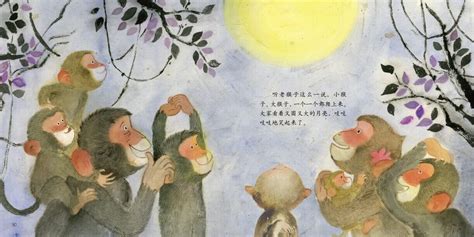 猴子捞月亮绘本图片,猴子捞月亮绘本图画,儿童绘本故事带图片(第17页)_大山谷图库