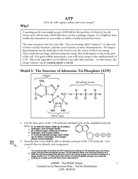 ATP-Student Guide - ©HSPI – The POGIL Project Limited Use by Permission ...