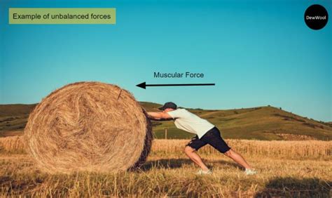 Image result for Unbalanced Forces Example