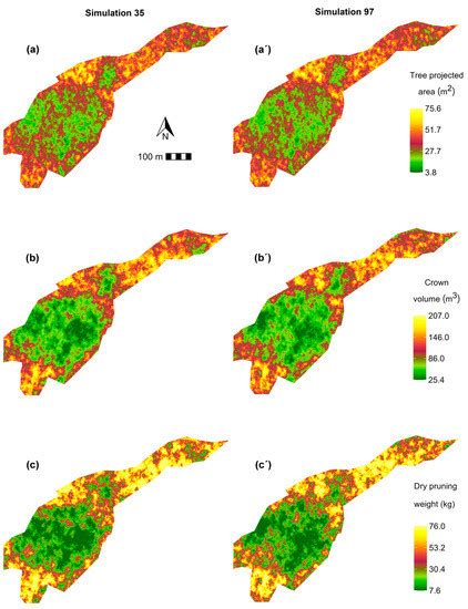 Assessment of the Spatial Variability and Uncertainty of Shreddable ...