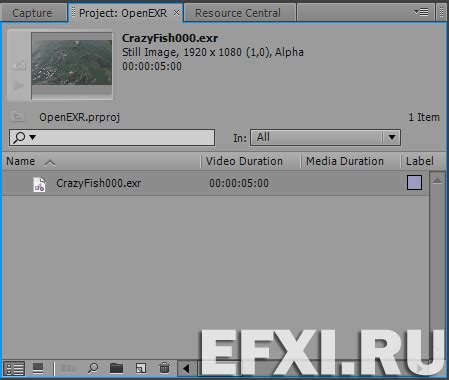 OpenEXR OpenEXR File Module 的图像结果