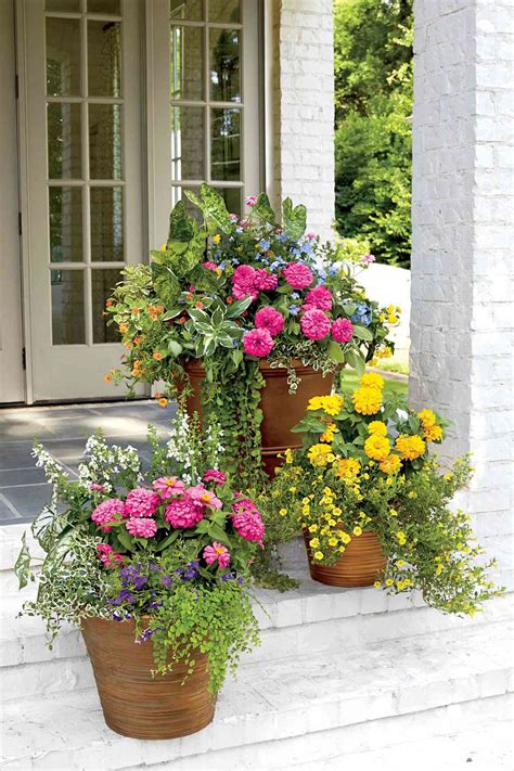 Outdoor Flower Pots Arrangements