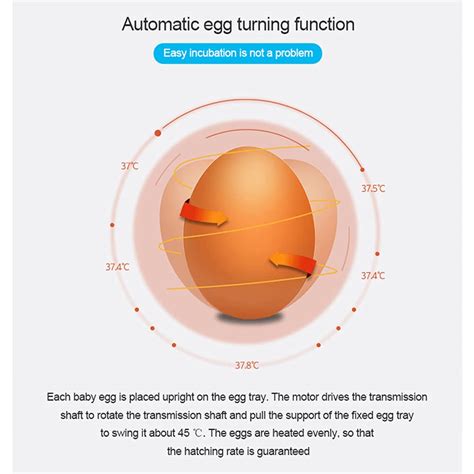 Buy Axonl 48 Egg Incubator with Humidity Display, Digital Eggs ...