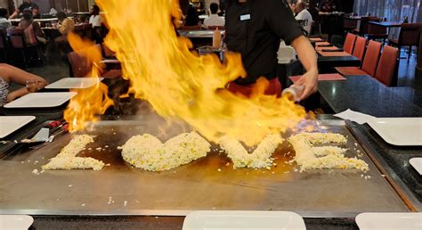 What is Hibachi? A Guide to the Popular Japanese Cuisine