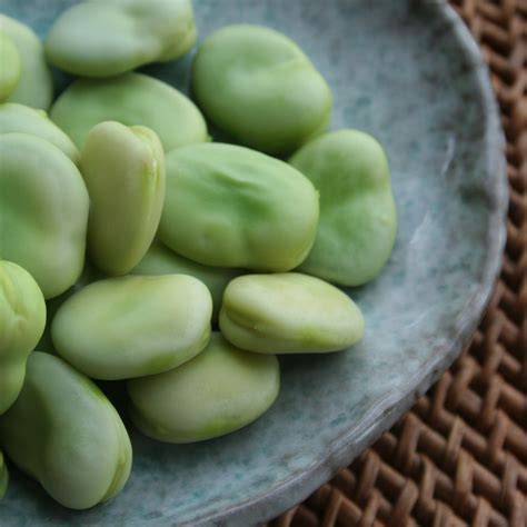 Fava Broad Windsor Bean Seeds - pkg