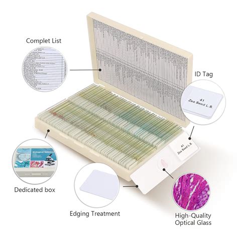 Microscope Set 的图像结果