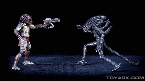 Image result for Alien versus Predator Toy Fight