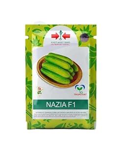 east west international hybrid vegetable nazia f1 cucumber 350 seeds ...