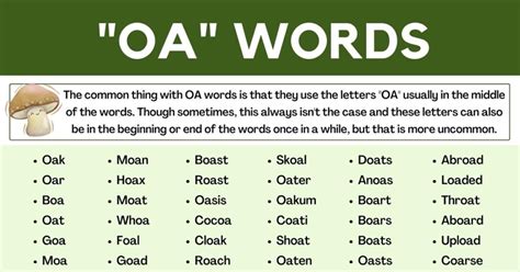 OA Words | 860+ Words that Contain "OA" in English • 7ESL
