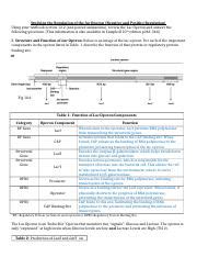 Image result for Positive Und Negative Regulation Lac Operon Chart