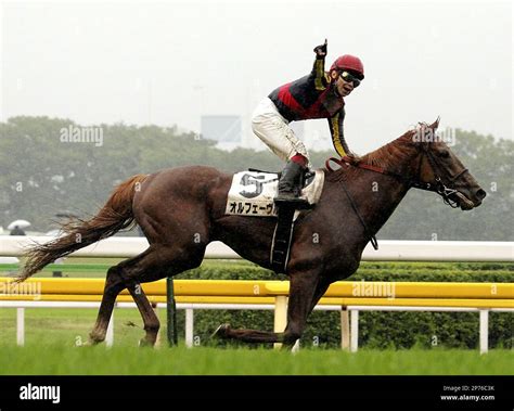 Jockey Kenichi Ikezoe on Orfevre reacts after conquering the Japanese ...
