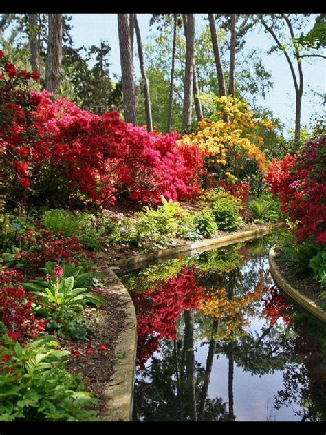 Image result for Spring Awakening Full Performance