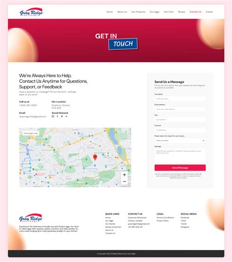 Image result for Contact Us Website Coding