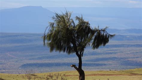 Nairobi, Kenya: A First-Timer’s Guide To The City Of Safaris And Skylines