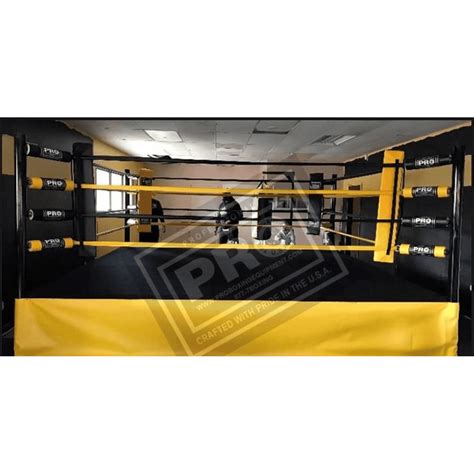 Pro Boxing 的图像结果