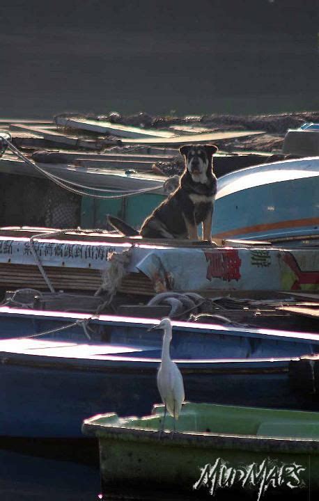 Mud Maps 的图像结果