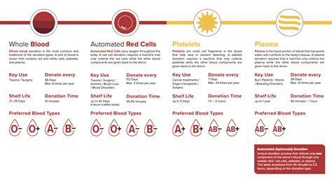Types of Donation - Donate Blood - The Blood Connection