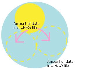 Raw Image Format 的图像结果