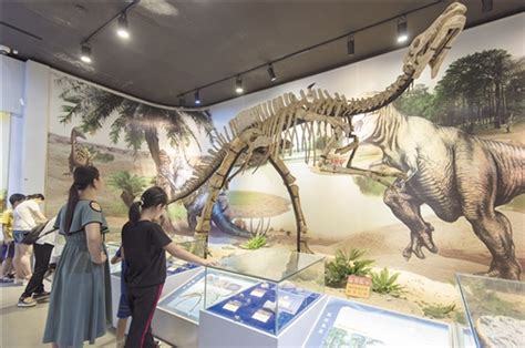 《中国恐龙地图》，给中国孩子专属的恐龙宝典_腾讯新闻