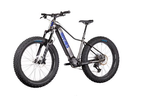 ELECTRIC FAT TIRE E-BIKE | Redefine Your Cycling Experience - Borealis ...