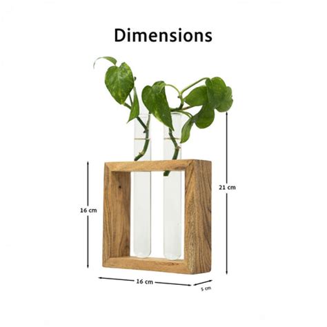 Large Garden Pots at Best Prices | Large Size Flower Pots |TrustBasket