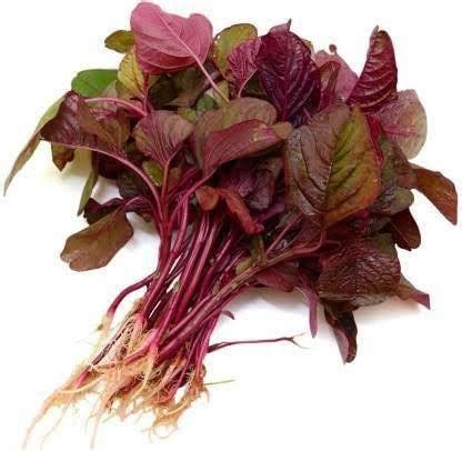KANAYA Amaranthus Lal Saag Cheera Hybrid Spinach Seed Price in India ...