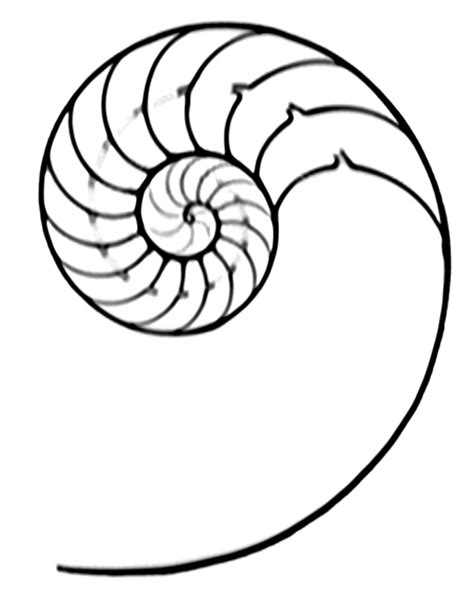 Image result for Shell Drawing Sheet