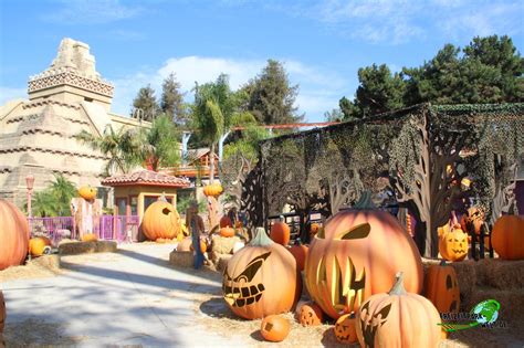 Jaguar! - Knott's Berry Farm | Freizeitpark-Welt.de
