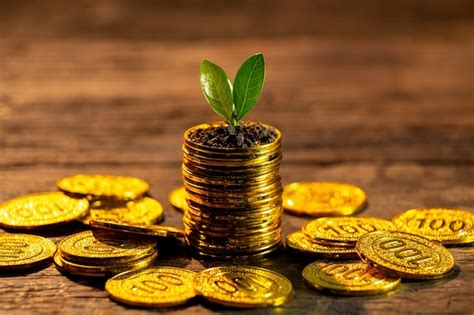 Golden coins stack with plant | Premium Photo