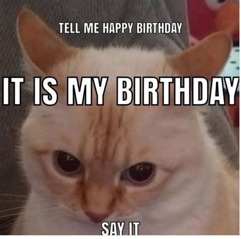 Cat Happy Birthday Meme