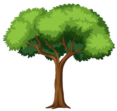 木のイラスト 画像 - Freepikで無料ダウンロード