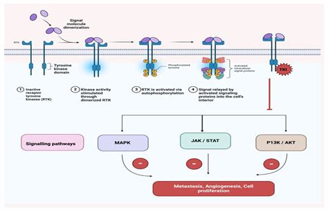 Beyond TKIs: Advancing Therapeutic Frontiers with Immunotherapy ...