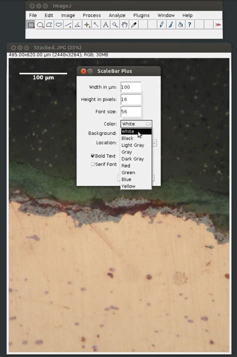 Image result for How to Add Scale Bar On Micrograph