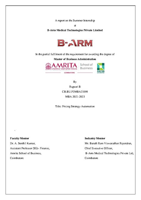 Internship Report - Pricing Strategy Automation at B-Arm Tech (CB.BU ...